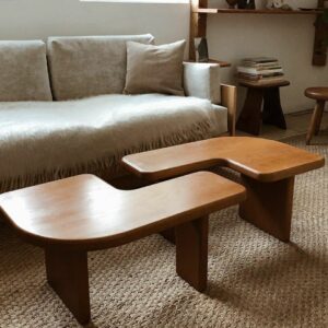 ban-tra-sofa-hien-dai